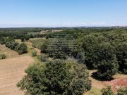 Građevinsko zemljište - Novigrad (01653)