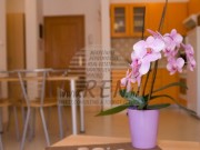 Vila - Umag (00020)