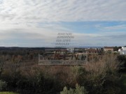 Građevinsko zemljište - Novigrad (00037)