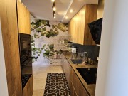 Stan - Novigrad (01695)