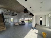 Vila - Novigrad (00129)