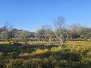 Građevinsko zemljište - Buje (01887)