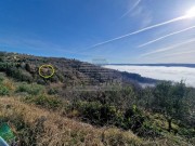 Istarska kuča - Grožnjan (01879)