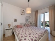 Stan - Novigrad (01807)