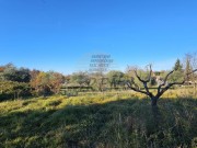 Građevinsko zemljište - Buje (00427)