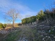 Istarska kuča  - Buzet (01640)