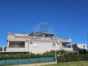 Stan - Novigrad (00042)