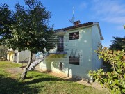 Kuća - Novigrad (01643)