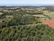 Poljoprivredno zemljište - Umag (01547)