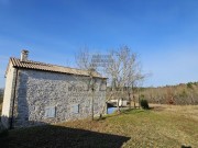 Vila - Buje (00242)