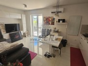 Stan  - Novigrad (01936)