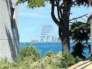Istarska kuča  - Novigrad (00479)