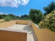 Kuća - Ližnjan (01892)