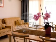Vila - Umag (00020)