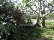 Istarska kuča - Buje (01383)