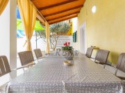 Istarska kuča - Pula (01709)