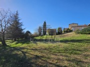Kuća - Novigrad (00241)