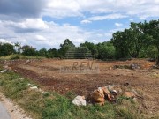 Građevinsko zemljište  - Buje (01431)