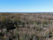 Poljoprivredno zemljište - Umag (01501)