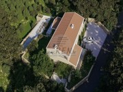 Vila - Novigrad (00107)