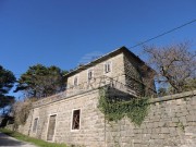 Istarska kuča  - Buje (01370)