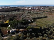 Kuća - Novigrad (00518)