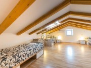 Istarska kuča - Pula (01709)