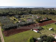 Poljoprivredno zemljište - Novigrad (00034)