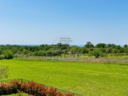 Vila - Brtonigla (01810)