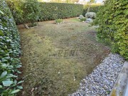 Stan - Novigrad (01575)