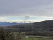 Poljoprivredno zemljište - Buje (00119)