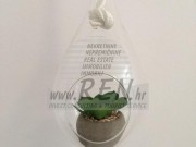 Stan - Novigrad (01786)