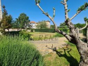 Vila - Umag (00140)