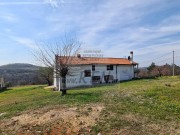 Kuća - Buje (01496)