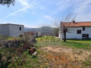 Kuća - Buje (01496)