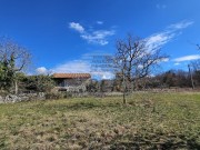 Istarska kuča - Buje (00260)