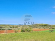 Građevinsko zemljište - Novigrad (00259)