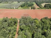 Poljoprivredno zemljište - Umag (01547)