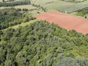 Poljoprivredno zemljište - Umag (01547)