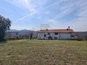 Kuća - Buje (01496)