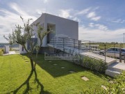 Vila - Novigrad (01498)