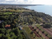 Građevinsko zemljište - Umag (01390)