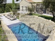 Vila - Novigrad (00107)