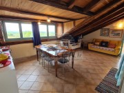 Stan - Poreč (01523)