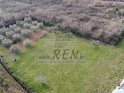 Građevinsko zemljište - Novigrad (01393)