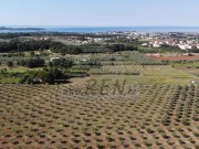 Poljoprivredno zemljište  - Novigrad (01566)