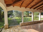 Kuća - Novigrad (01917)