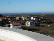 Vila - Buje (00012)