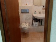 Poslovni prostor - Buzet (01421)