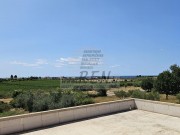 Kuća - Novigrad (00506)